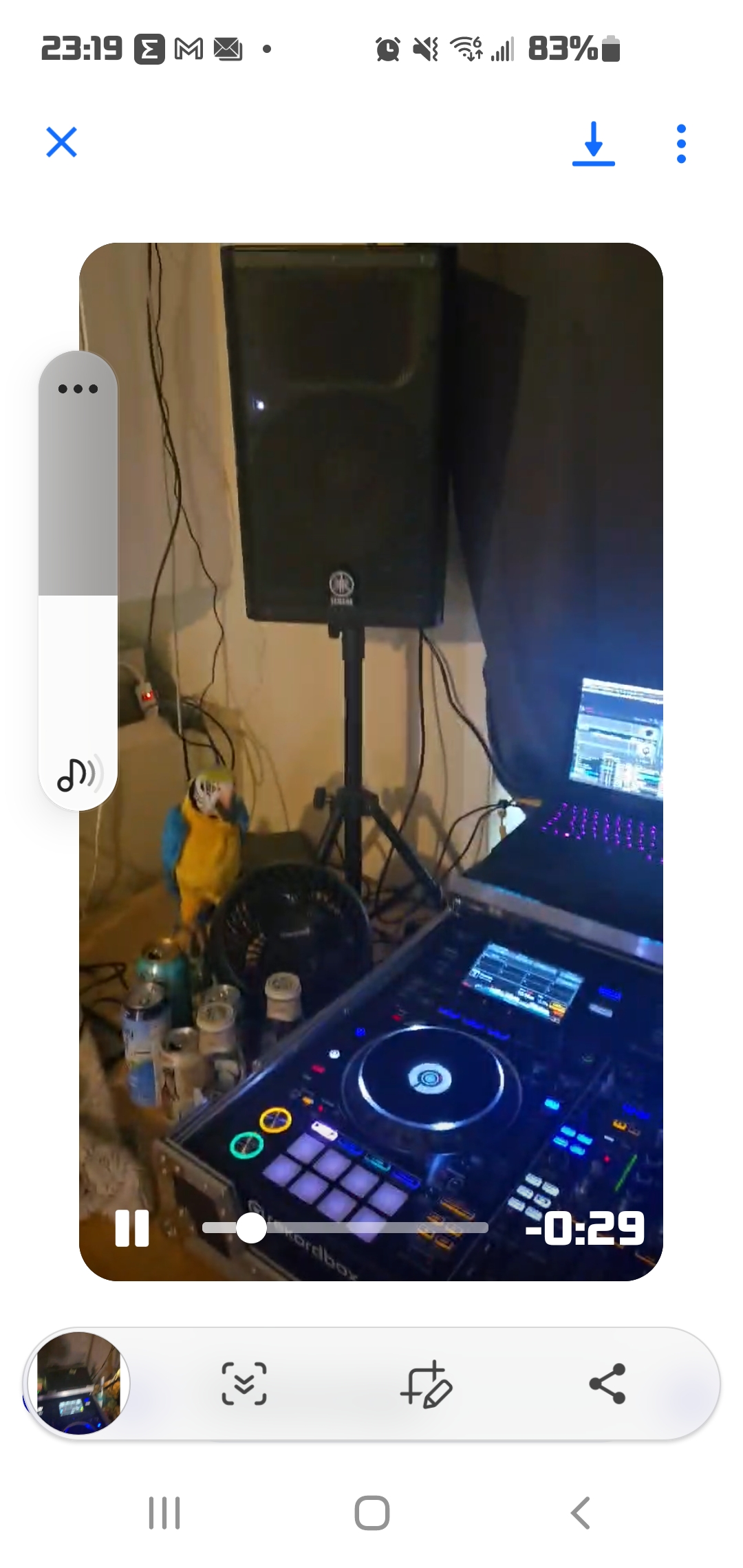 Sundown Sounds — image 3 of 5